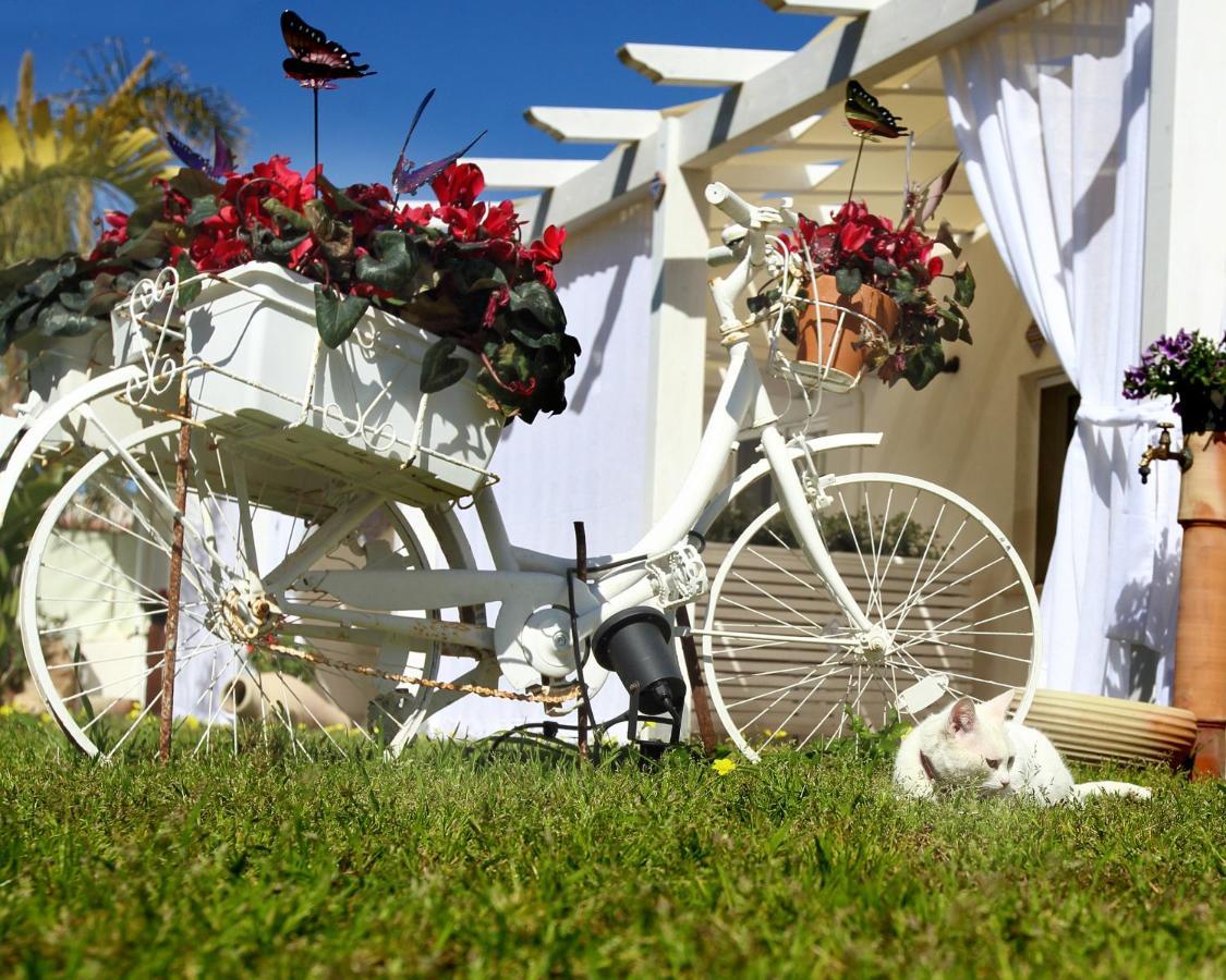 Ferienwohnung Oasi Siciliana Terrasini Exterior foto